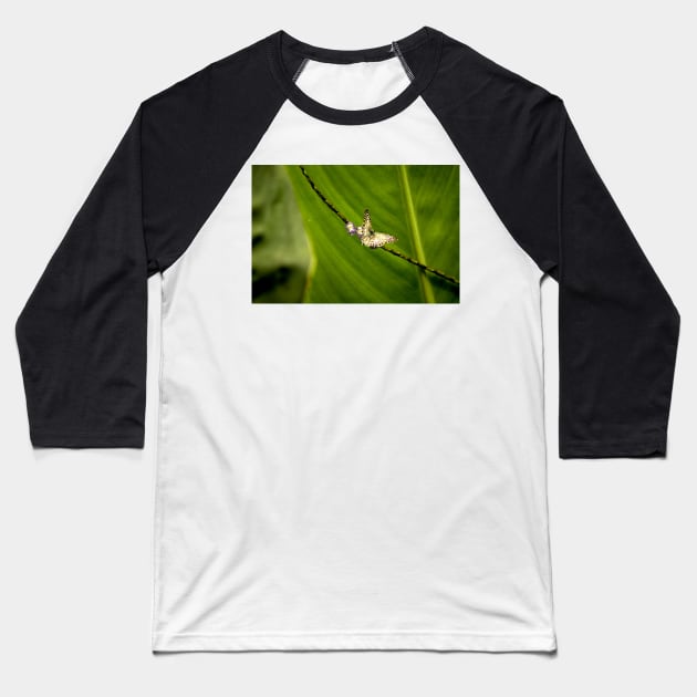 oli and butterfly Baseball T-Shirt by pcfyi